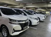 Tips Membeli Mobil Baru atau Bekas agar Tidak Rugi, Wajib Dibaca Sebelum Deal